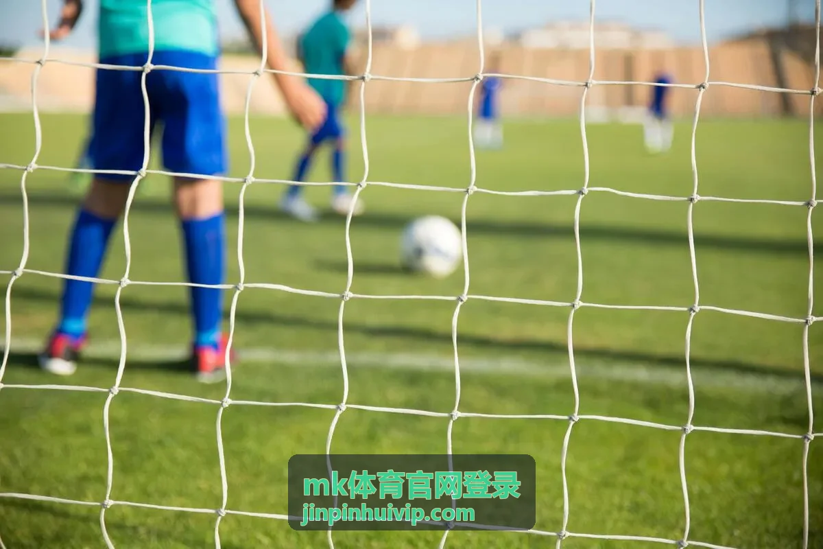 mk体育官网登录 赛事资讯解析内容概览示意图