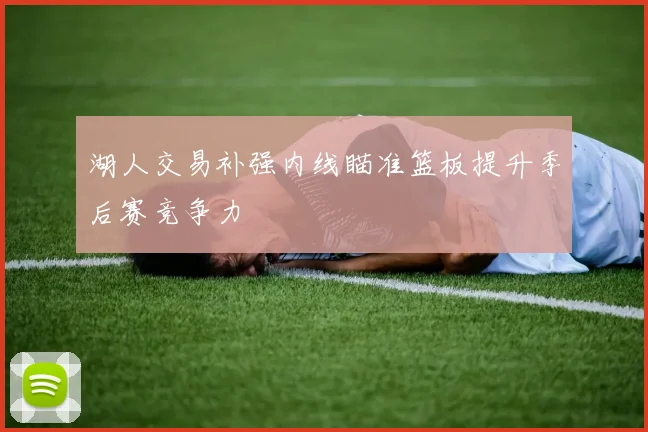 湖人交易补强内线瞄准篮板提升季后赛竞争力