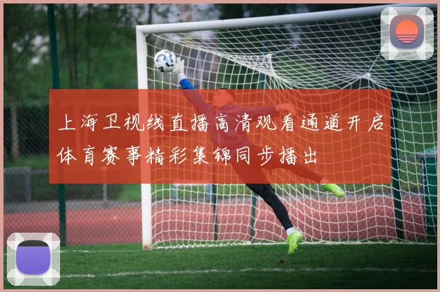 上海卫视线直播高清观看通道开启体育赛事精彩集锦同步播出