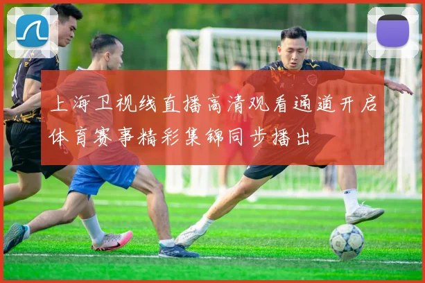 上海卫视线直播高清观看通道开启体育赛事精彩集锦同步播出