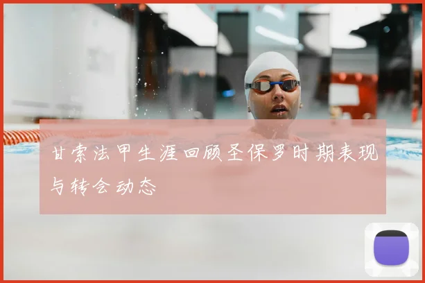 甘索法甲生涯回顾圣保罗时期表现与转会动态