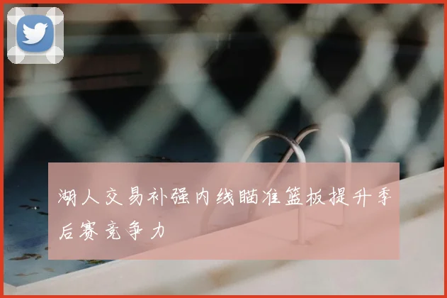 湖人交易补强内线瞄准篮板提升季后赛竞争力